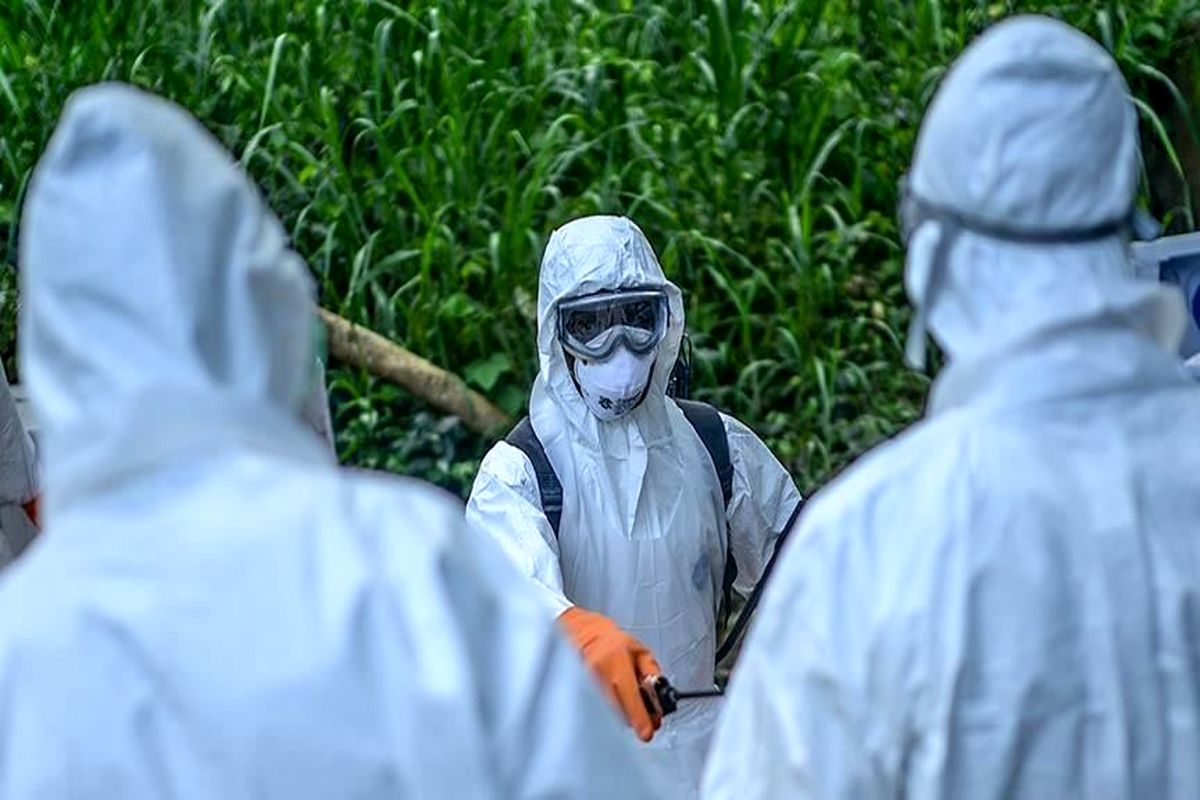 شمار جان باختگان "ابولا" در کنگو به بیش از 2000 نفر رسید