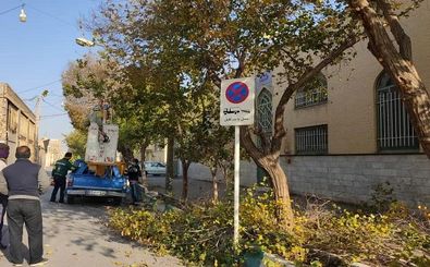 درختان ارزشمند کوچه باغ های قدیمی شهر یزد به طور ویژه ساماندهی می شوند