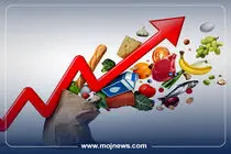 اینفوگرافیک/نان و میوه رکورد گرانی در مهرماه را زدند!