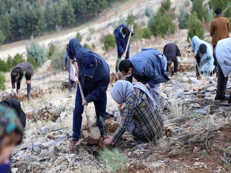 کاشت نهال به یاد درگذشتگان بانک مسکن در اثر کرونا/ رویشی برای مانایی