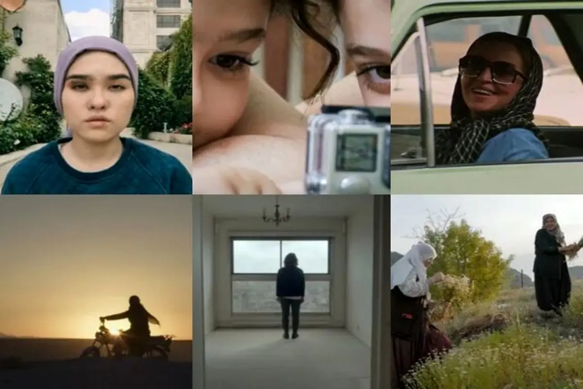هشت مستندساز ایرانی به جشنواره بین‌المللی ایدفا ۲۰۲۵ دعوت شدند