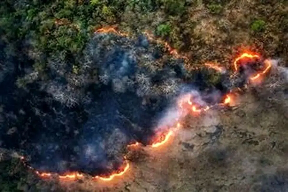 آتش‌سوزی+جنگل+الیت