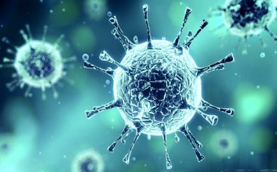 آمارها همچنان از بی توجهی به هشدارها حکایت میکند/آخرین شمار مبتلایان به ویروس کرونا  1288 نفر 