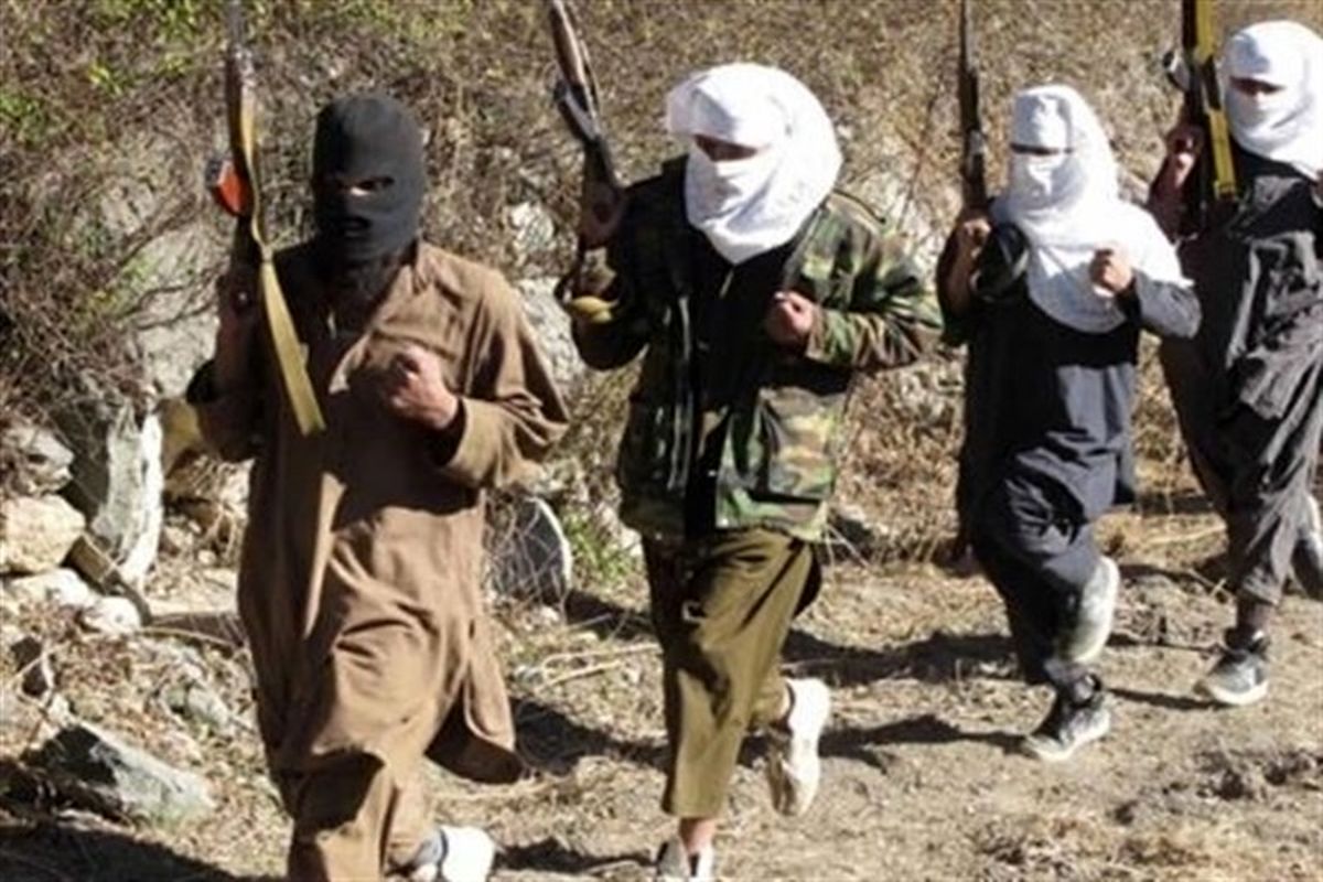 ۵۰ فرمانده ارشد طالبان در هلمند کشته شدند