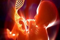  آزمایش‌های غربالگری رایج قبل از تولد تا ۹۵ درصد ارزش تشخیصی دارد