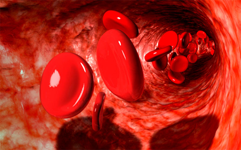 نقش پلاکت خون در بدن / علائم و عوارض پلاکت خون پایین