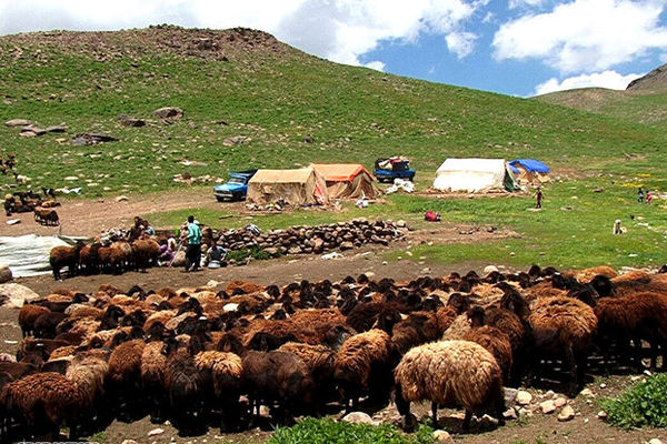 مشکلی در تامین نهاده‌ دامی عشایر وجود ندارد