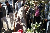 کاشت درخت به یاد شهدای دانش آموز و خیر مدرسه ساز در منطقه ۱۰ اصفهان