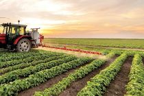 بهره‌گیری از ظرفیت تعاونی‌های کشاورزی، راهکار تحقق شعار سال است