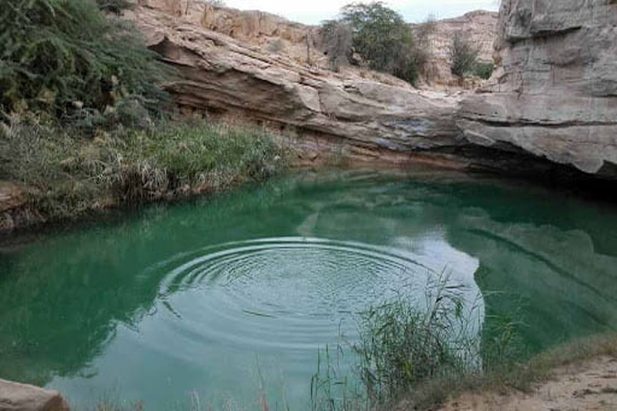 بهره برداری از ۵ پروژه عمرانی در پارک پنجه علی بندرعباس