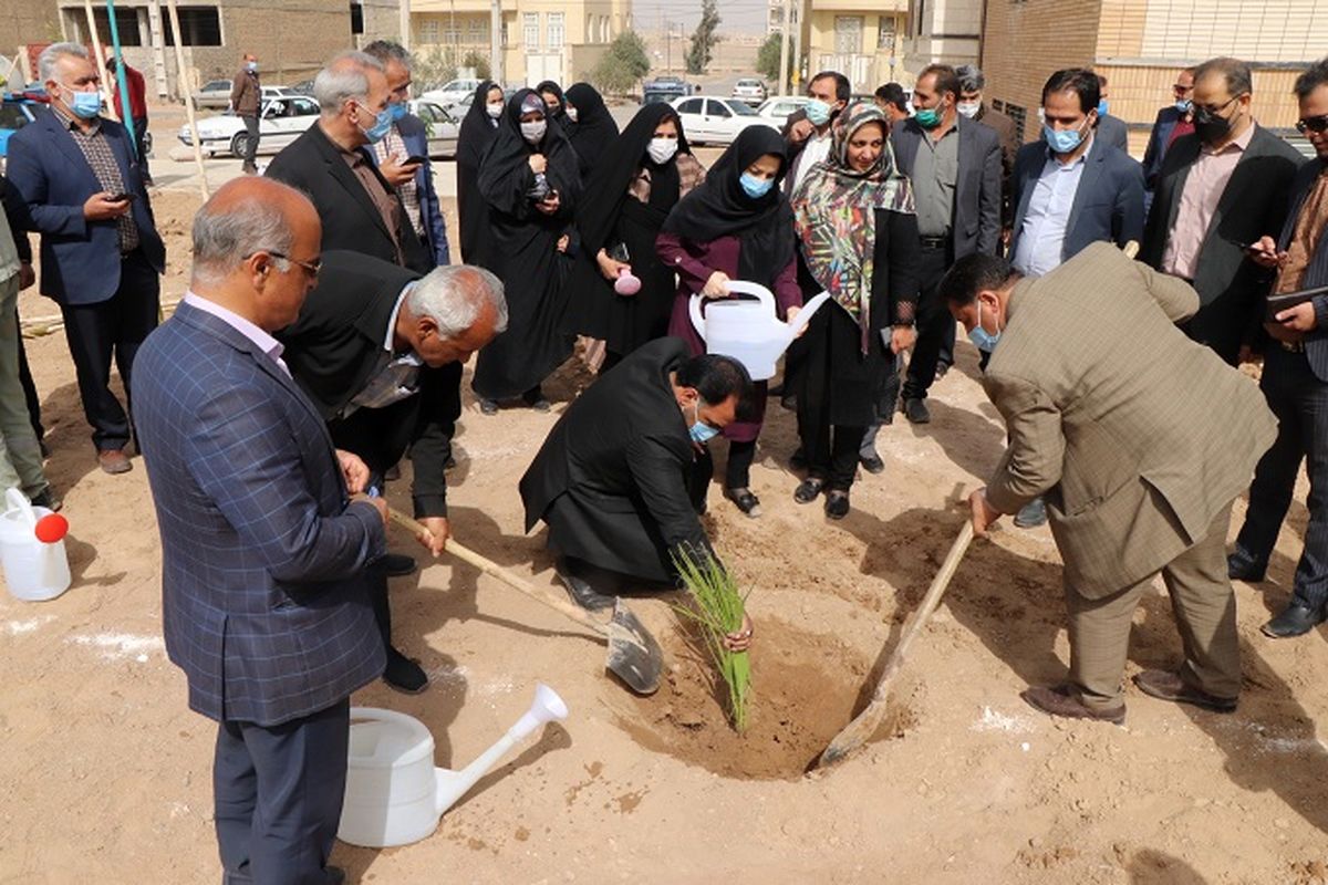 گزارش تصویری/ پویش درختی برای آینده توسط سازمان سیما، منظر و فضای سبز شهرداری یزد 