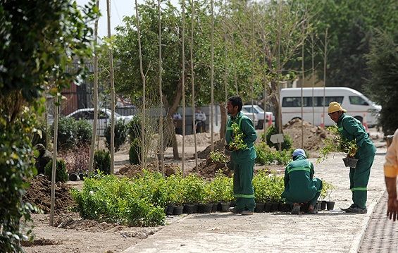 احداث بوستان ۵۰۰۰متری در منطقه۱۳؛ بزودی/ساخت ۲بازار میوه وتره بار