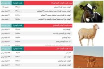 قیمت گوشت گوساله، گاو، گوسفند وشتر بعد از پایان تعطیلات / آخرین قیمت امروز ۱۸ شهریور + جدول