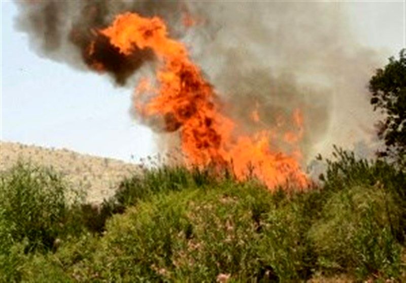 آتش در جنگل‎های شمیرانات/۱۰۰ هکتار سوخت