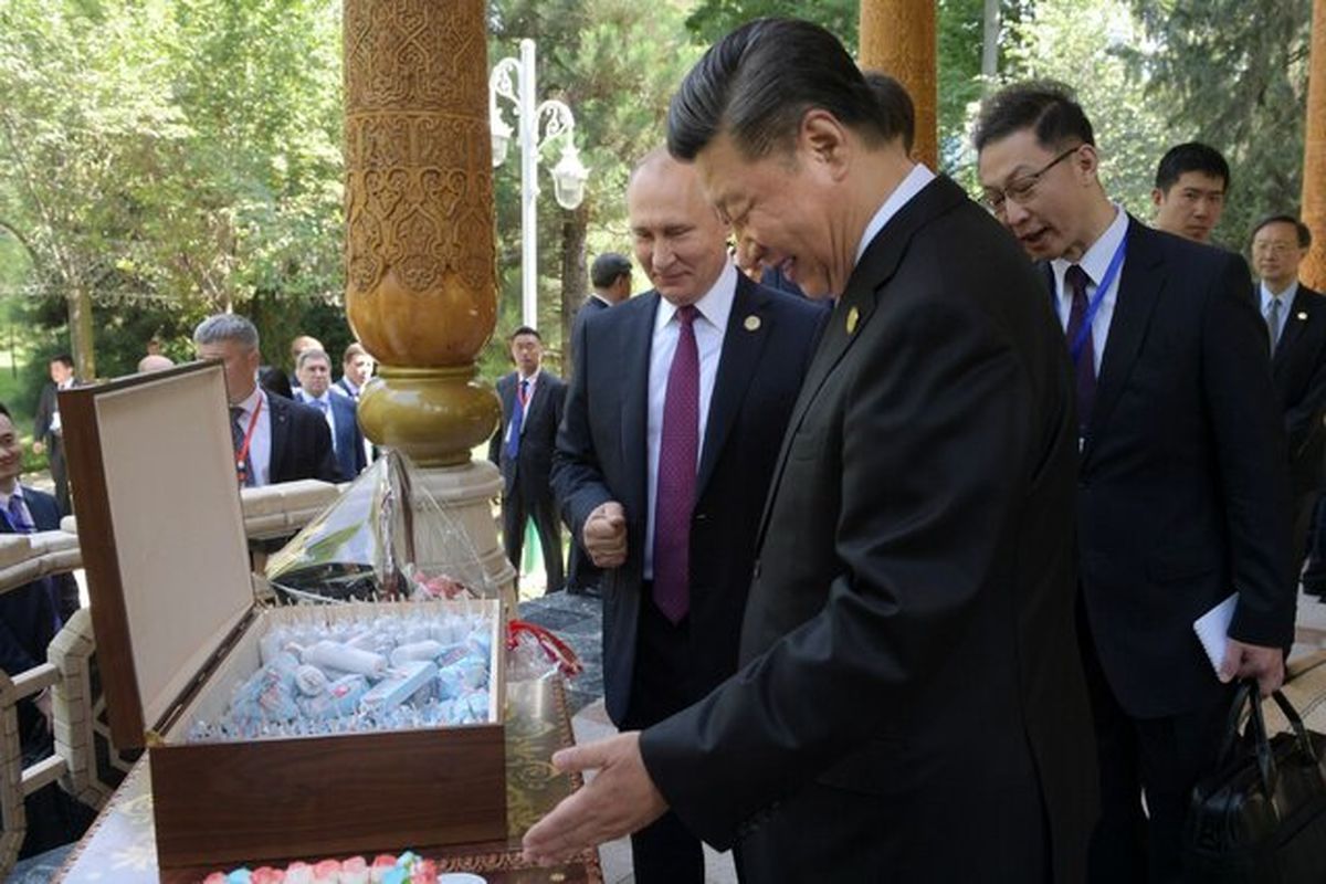 هدیه متفاوت پوتین به رئیس جمهور چین