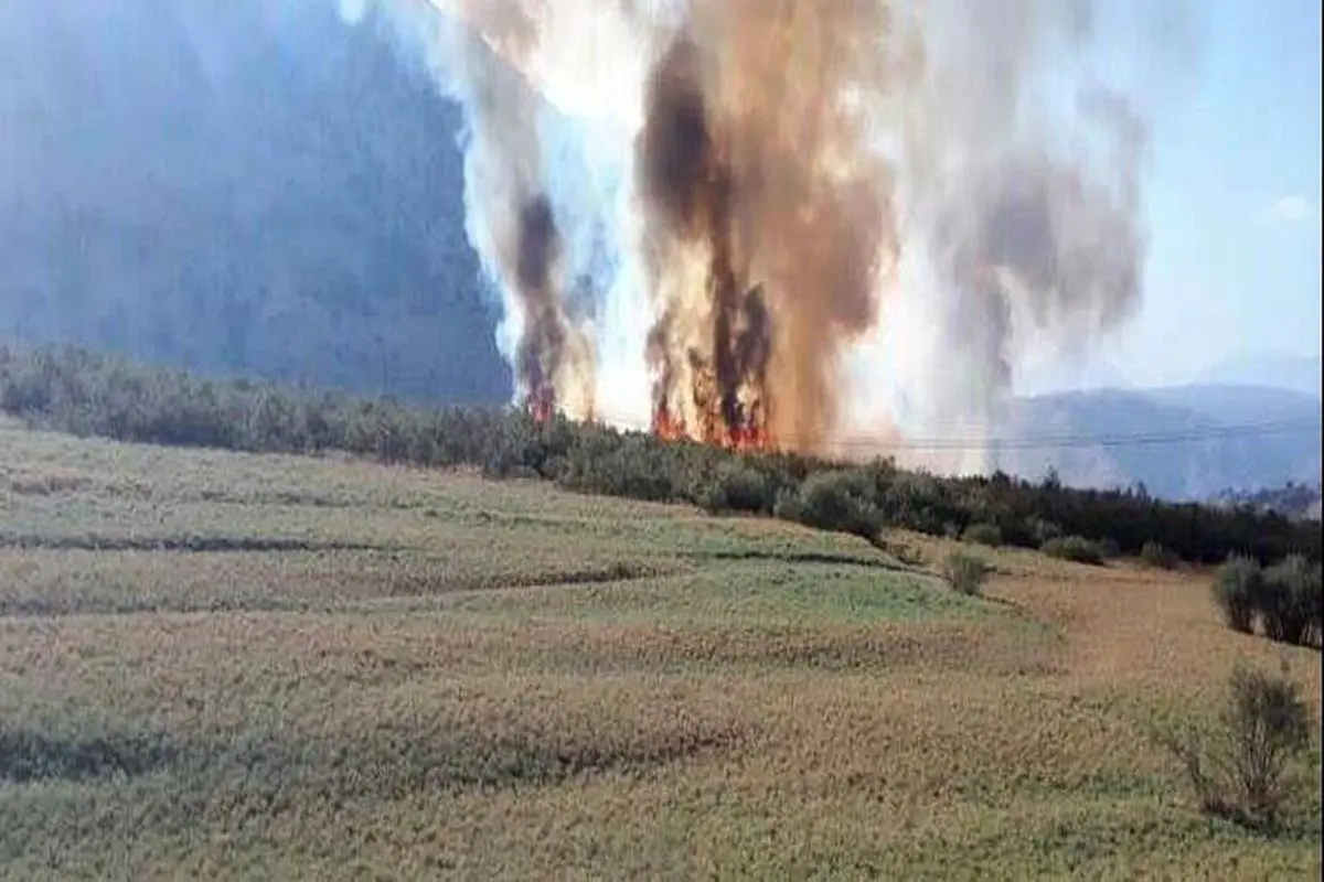 مهار آتش سوزی