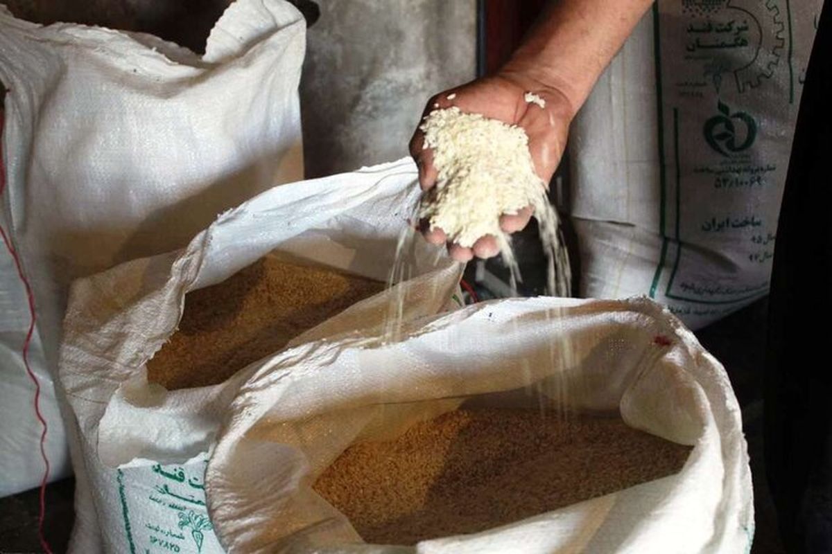 اختصاص حدود ۴۰۰۰ تن سهمیه برنج در آذر ماه به خراسان رضوی 