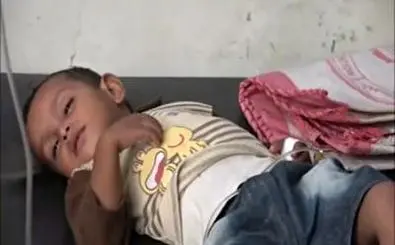 Dengue fever outbreak swamps Yemeni medical centers