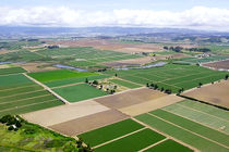 صدور سند مالکیت اراضی کشاورزی اردبیل تسریع می شود