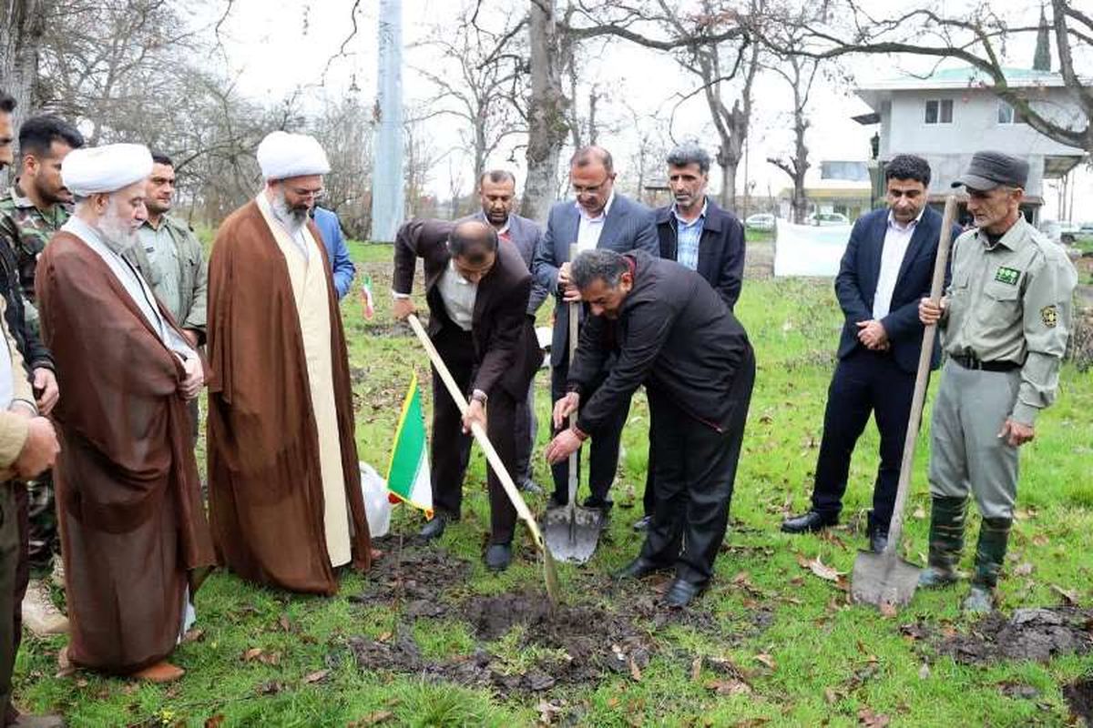 کاشت 200 اصله نهال در پناهگاه حیات وحش دشت ناز