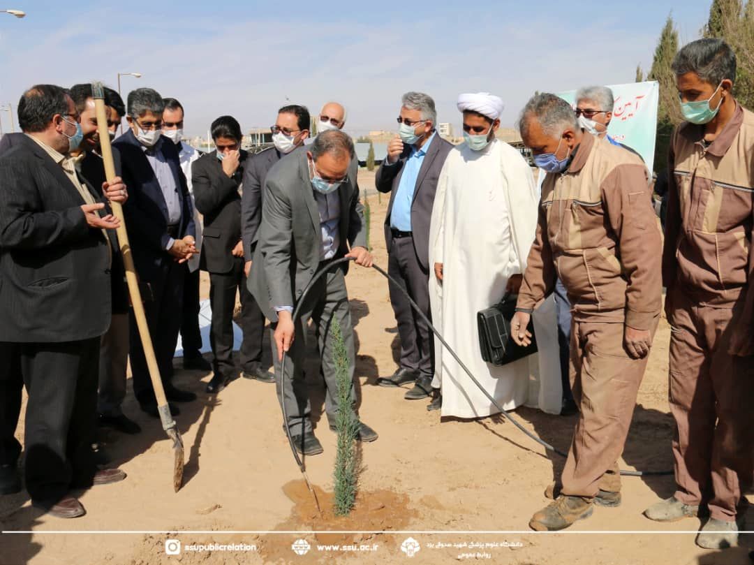 همزمان با روز درختکاری کاشت نهال به یاد شهدا در بیمارستان شهید صدوقی یزد