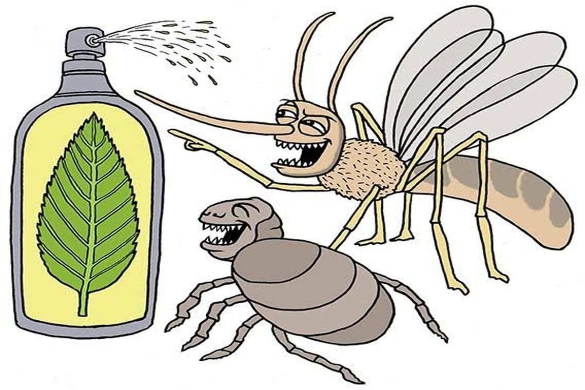 پشه‌ها به مواد دفع‌کننده حشرات توجهی نمی‌کنند