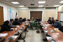 نشست بررسی پروژه خط سوم انتقال برق ارمنستان به ایران برگزار شد 