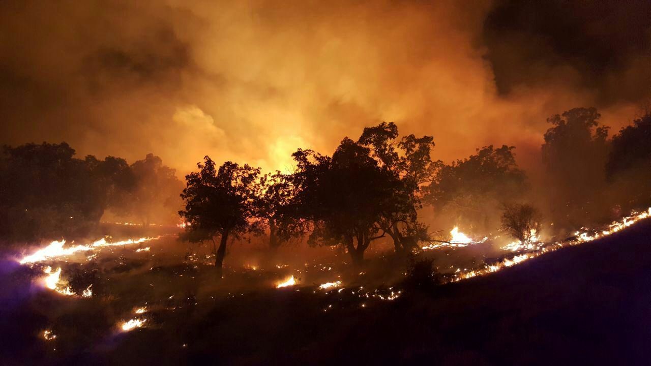 آتش‌سوزی جنگل‌های استان گیلان  تلفات جانی نداشته است 