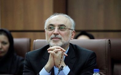 رئیس سازمان انرژی اتمی ایران وارد وین شد