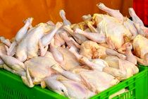 توزیع مرغ در شهرستان های خوزستان