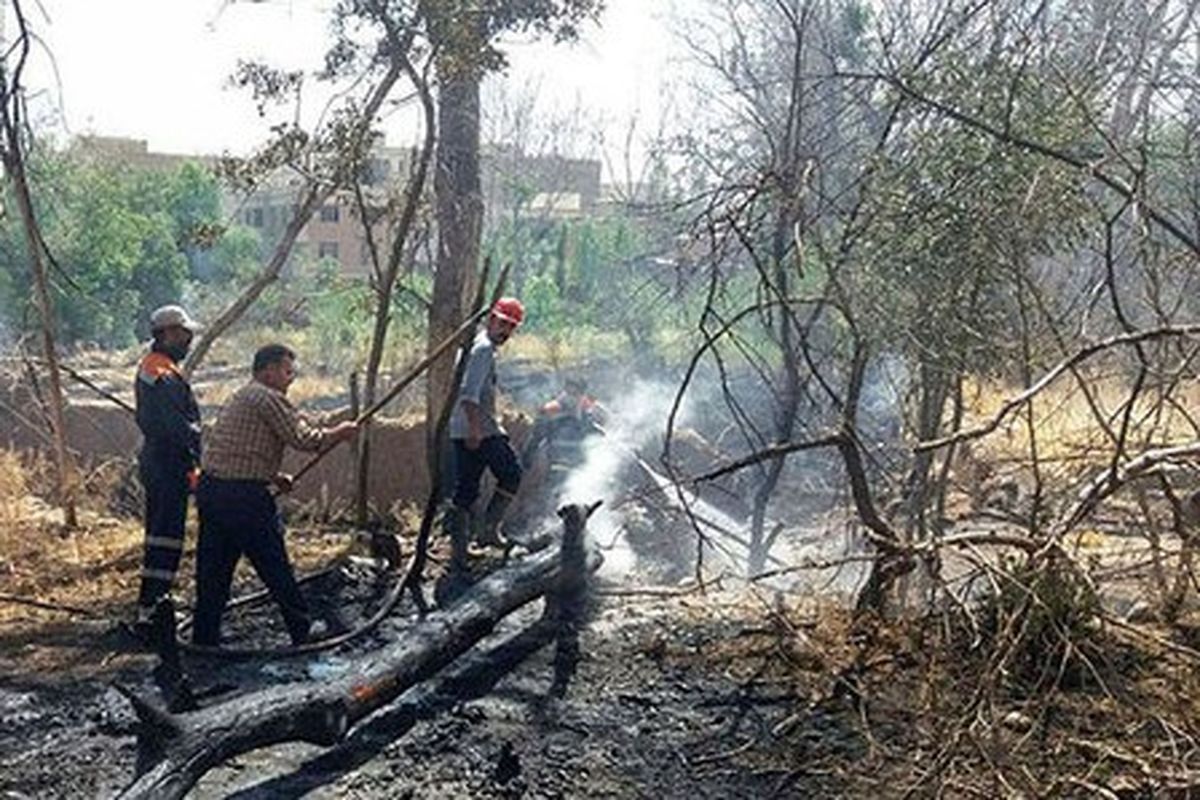 ۶۰ هکتار از باغ های شهرستان رودان در آتش سوخت/ خسارت سی  میلیارد ریالی به باغداران 