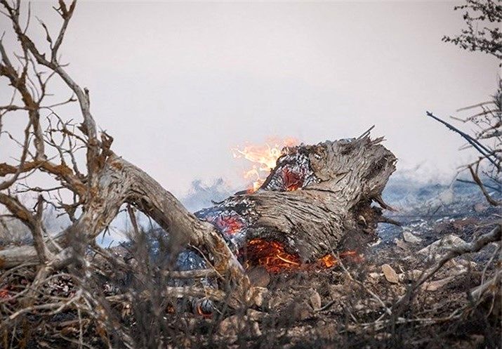 آتش‌سوزی در حاشیه پارک ملی گلستان مهار شد