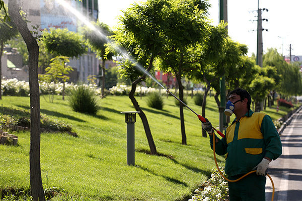 انجام سم‌پاشی درختان اصفهان در شامگاه یکم و سوم اردیبهشت‌ماه / شهروندان نکات ایمنی را رعایت کنند