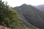۶۴۱ هزار هکتار از استان ایلام راوجنگل تشکیل می دهد