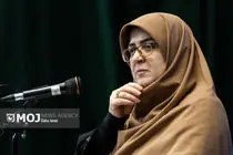 کنسرت میلیونی، عامل تقویت اتحاد ملی است