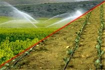 بیش از ۵ هزار کیلومتر آبیاری نوین در مزارع و باغات گلستان اجرا می‎شود