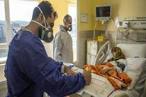 ثبت 20 بیمار جدید مبتلا به کرونا در منطقه کاشان / 12 بیمار بستری شدند
