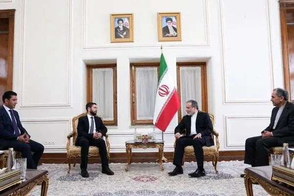 معاون وزیر خارجه ارمنستان با عراقچی دیدار کرد