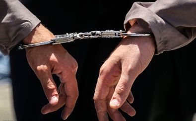 دستگیری ۲۲ سارق در بندرعباس