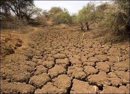 خسارت 65 میلیاردی خشکسالی‎های اخیر به کشاورزان چابهاری