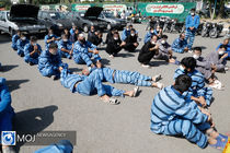 دستگیری 80 سارق در شهرستان فلاورجان