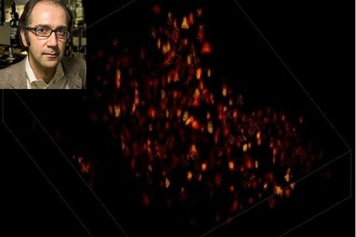 الگوریتم جدید دانشمند ایرانی برای شکار فعالیت نورون‌های مغز
