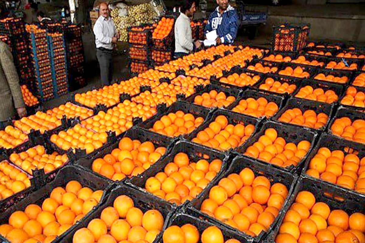 خرید و ذخیره‌سازی میوه تنظیم بازار شب عید قم 