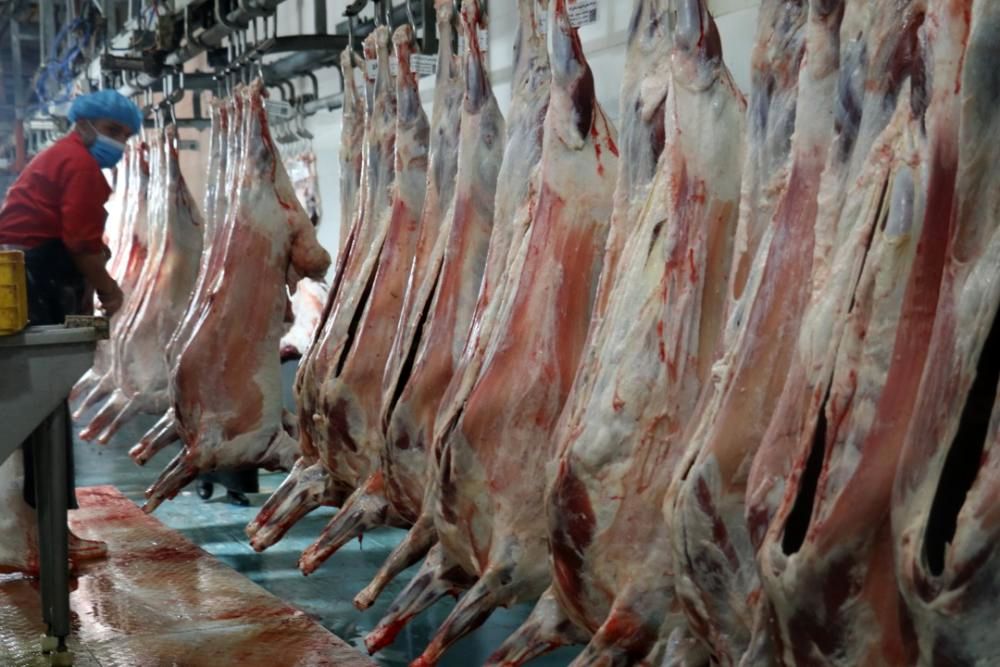 تامین گوشت قرمز مورد تقاضای بازار در ایام نوروز و ماه مبارک رمضان در رشت