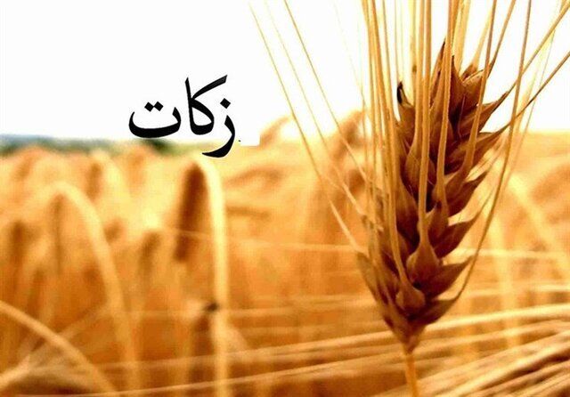 26 میلیارد تومان زکات توسط کردستانی ها پرداخت شد