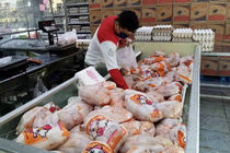 توزیع ۹۰ تن مرغ منجمد وارداتی تنظیم بازار در استان قزوین
