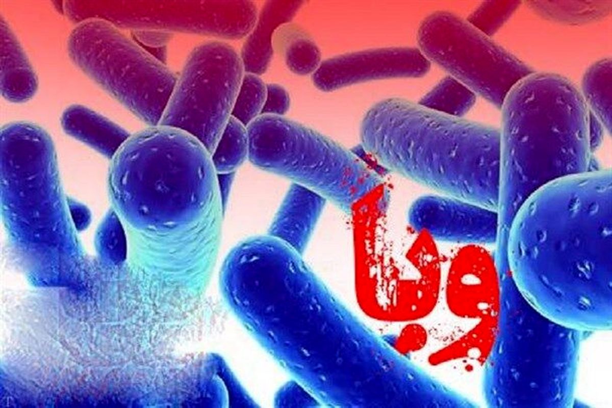 شناسایی۵۰ بیمار مشکوک به وبا در خراسان رضوی 