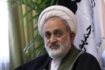 بقاع متبرکه و امامزادگان پشتوانه بزرگی برای نظام جمهوری اسلامی ایران محسوب می شوند