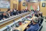 راه‌اندازی کارخانه پرداخت و دباغی صنایع‌دستی ایلام نیازمند حمایت ویژه است