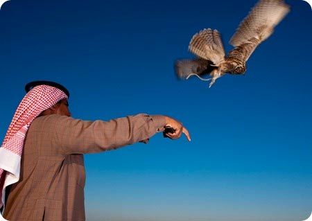 شکار پرنده یا انسان؛ قطری ها در افغانستان چه می کنند؟